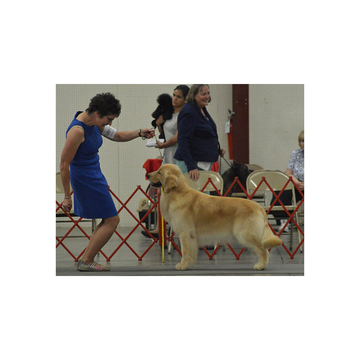 joey