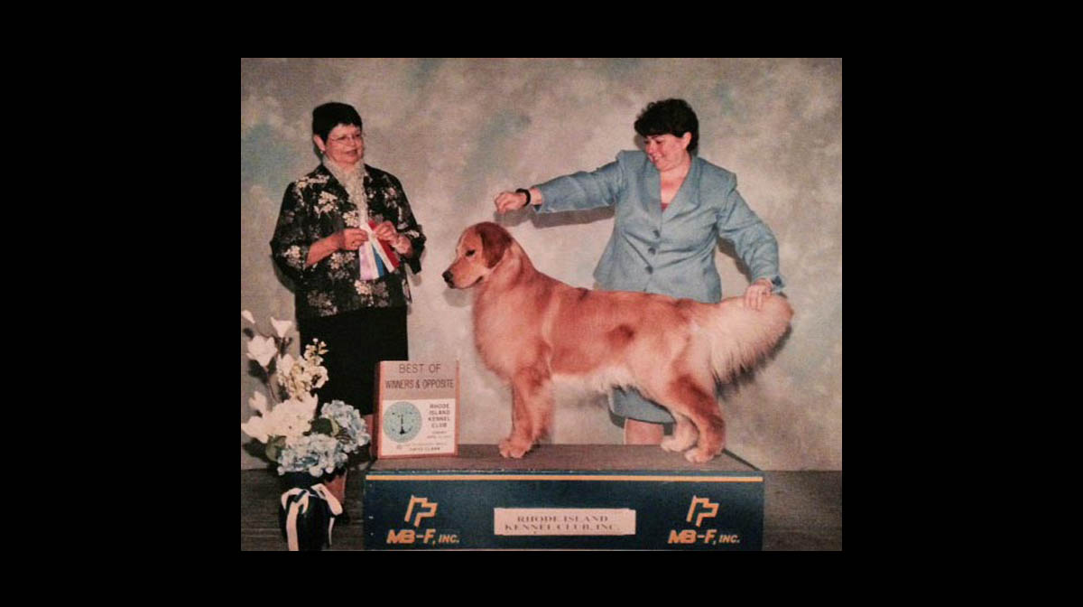 stud dog skipper